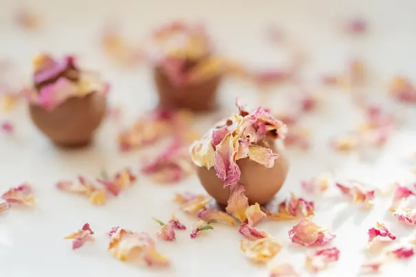 Andromeda Casino Aplicación Android/iOS